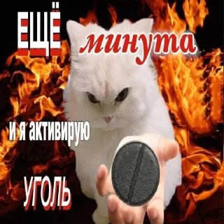 💣 emoji нарКотики Telegram sticker 17 of 21