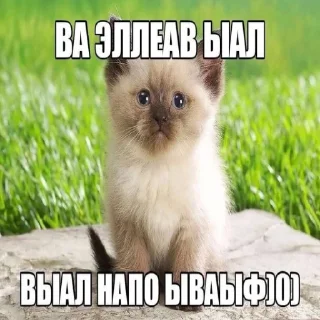 😞 emoji нарКотики Telegram sticker 13 of 21