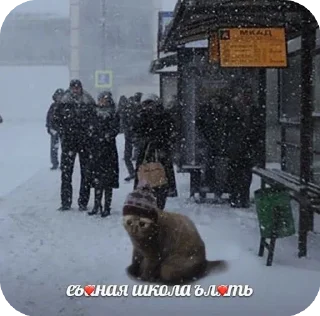 😕 emoji зима и новый год @StickersPackRobot Telegram sticker 8 of 22