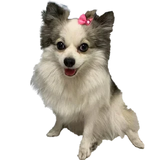 Sticker from Bonnie