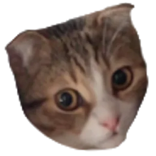 😪 emoji БЕЗ ПРЕМА Telegram sticker 8 of 61
