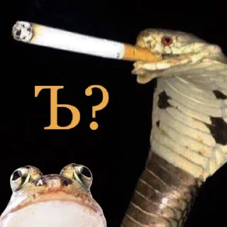 🤨 emoji Набор говна Telegram sticker 17 of 48