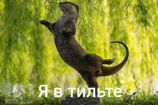 🌟 emoji Пипец#снег Telegram sticker 6 of 10