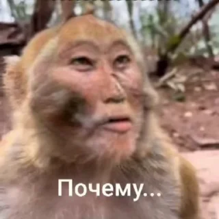 🤔 emoji Mongol @MongolianBroBot Telegram sticker 19 of 26