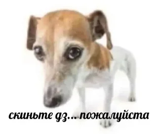 😞 emoji стиеры от евульки феликси Telegram sticker 15 of 20