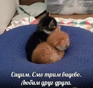 🥰 emoji стиеры от евульки феликси Telegram sticker 13 of 20