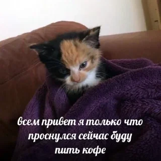 😢 emoji стиеры от евульки феликси Telegram sticker 3 of 20