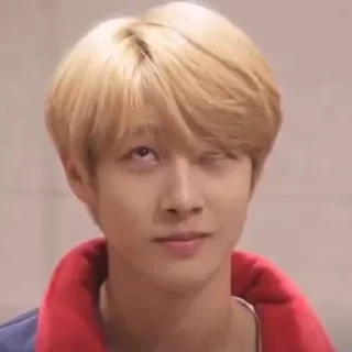 🦊 emoji renjun mem by @stikersnct Telegram sticker 17 of 51