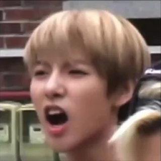 🦊 emoji renjun mem by @stikersnct Telegram sticker 19 of 51