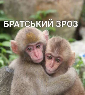👩‍👦‍👦 emoji Monkey Telegram sticker 5 of 11