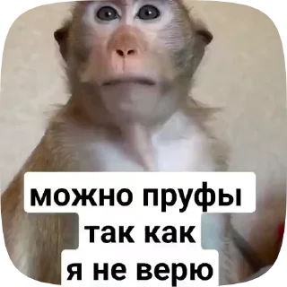 Sticker from пон зроз und