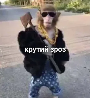 😎 emoji Monkey Telegram sticker 6 of 11