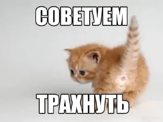 Sticker from Ням-ням-ням