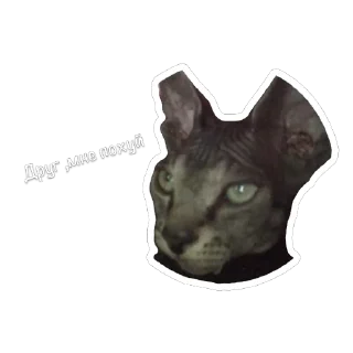 Sticker from Сима