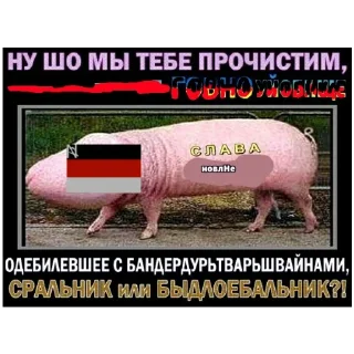 🍔 emoji УНИЖЕНИЯ ПРОТОХНЮКНАХНЮКГШР Telegram sticker 9 of 30
