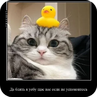 😠 emoji >Жосткие стики< Автор:Охотница. @horoscopelovebot Telegram sticker 14 of 23