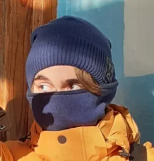 🤨 emoji ШвайнаКарась Telegram sticker 10 of 92