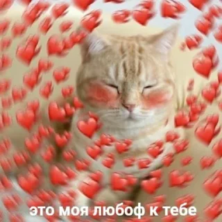 ❤ emoji Солянка, похуй же да Telegram sticker 9 of 107