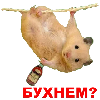 🙁 emoji Hamster @TVstickers Telegram sticker 10 of 42