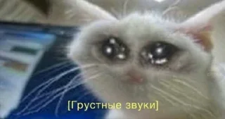 😥 emoji мемы с котами Telegram sticker 22 of 114
