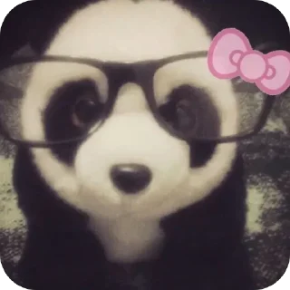 Sticker from Доллик 🐼