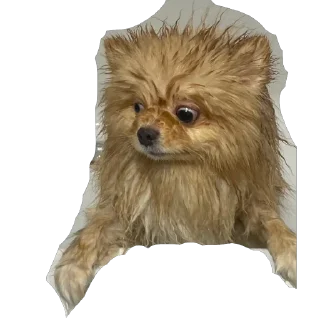 😳 emoji @kristina.vnbrg Telegram sticker 12 of 24