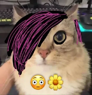 🌟 emoji TVGCHAT🌟 Telegram sticker 21 of 64