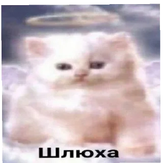 😡 emoji Нянянняняняянянянчнчнчнняняня Telegram sticker 24 of 38