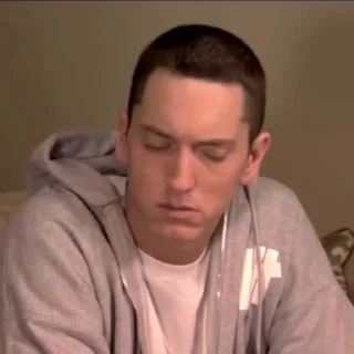 Sticker from @eminem313m @TgEmodziBot