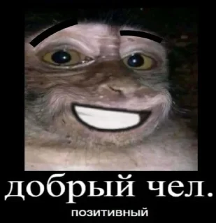 😄 emoji Артем и Федор пиздатые челы, не сомневайтесь Telegram sticker 7 of 38