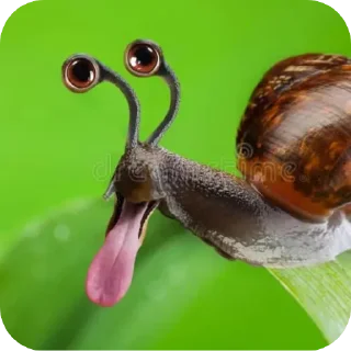 🤑 emoji Артем и Федор пиздатые челы, не сомневайтесь Telegram sticker 22 of 38