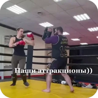 🙃 emoji СОКОЛ 🦅 Telegram sticker 16 of 29