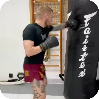👊 emoji СОКОЛ 🦅 Telegram sticker 24 of 29