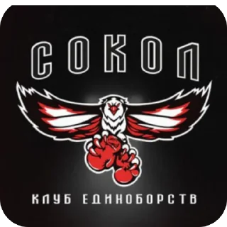 ✊ emoji СОКОЛ 🦅 Telegram sticker 22 of 29