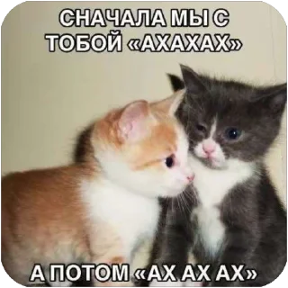 🫥 emoji maestro make this shit Telegram sticker 19 of 64