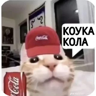 🧢 emoji кошак Telegram sticker 6 of 25
