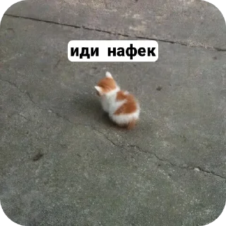 😾 emoji кошак Telegram sticker 15 of 25