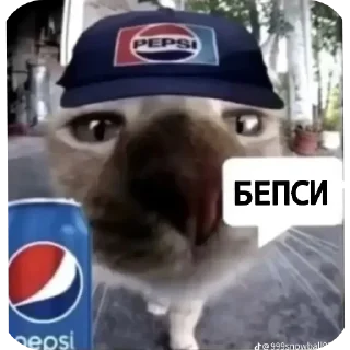 😺 emoji кошак Telegram sticker 7 of 25