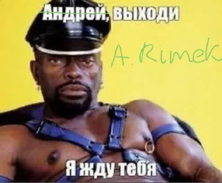 Sticker from Справжні козачки (By @eleven_ap)