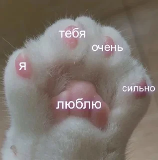 💗 emoji любовь Telegram sticker 10 of 81