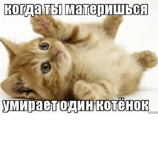 😇 emoji насрал бляя @nyawc Telegram sticker 9 of 77