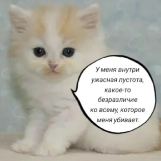 😔 emoji насрал бляя @nyawc Telegram sticker 10 of 77