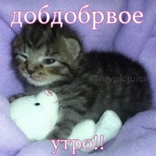 💗 emoji насрал бляя @nyawc Telegram sticker 17 of 77