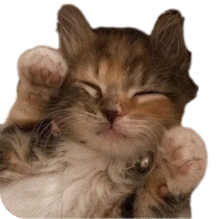 Sticker from Милашки
