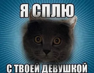 😇 emoji Больше стикеров 👉🏻 @stickertg4 Telegram sticker 6 of 10