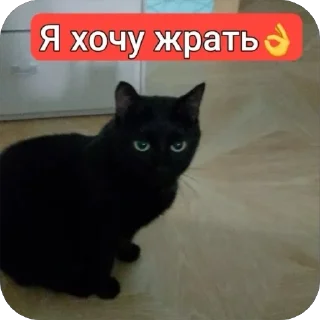 🍎 emoji Кводробер Telegram sticker 5 of 30