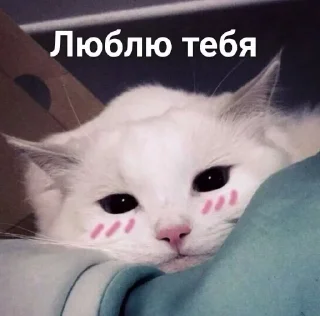 🥰 emoji эх Telegram sticker 23 of 50
