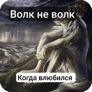 👍 emoji Одинокий сральник потерял свою дорогу Telegram sticker 1 of 22