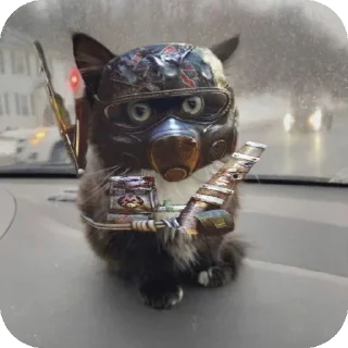 👍 emoji Резик 5 Telegram sticker 14 of 30