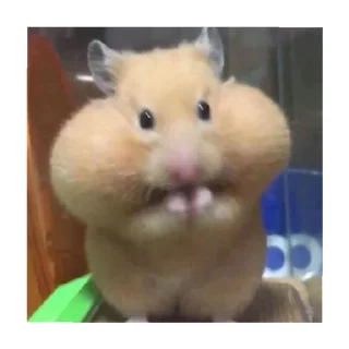 😄 emoji Аришка Telegram sticker 7 of 120